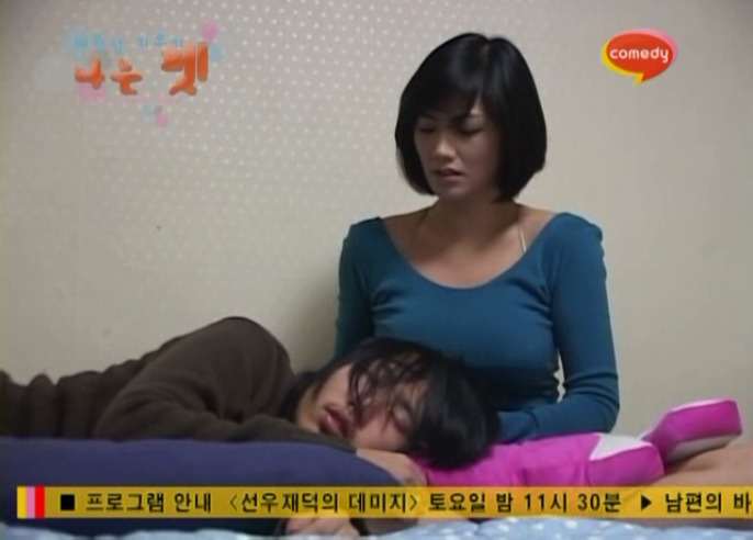 펫시즌 이미지
