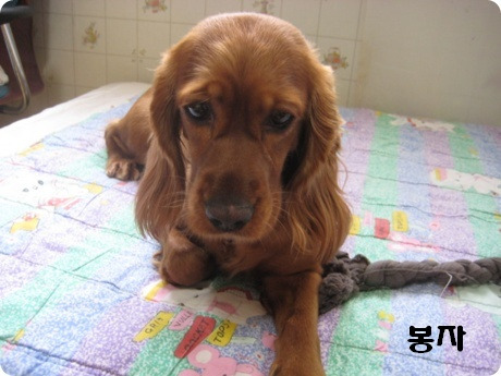 봉자 이미지