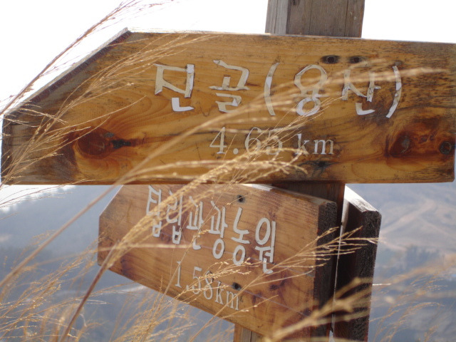 임회주유소 이미지
