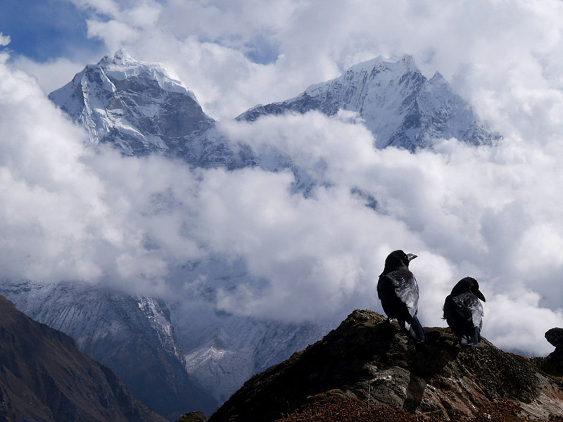 �̹����� Ŭ���ϸ� ������ ���� �� �ֽ��ϴ�.