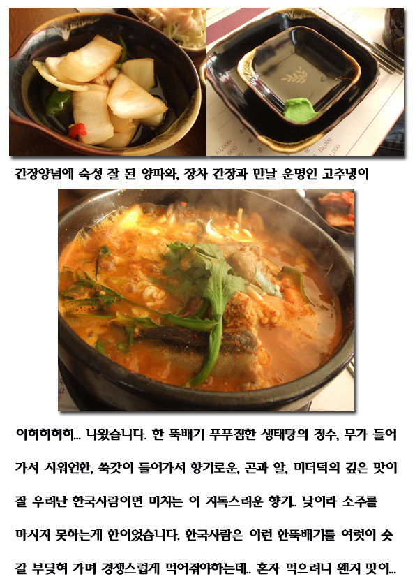 김영희강남동태찜 이미지